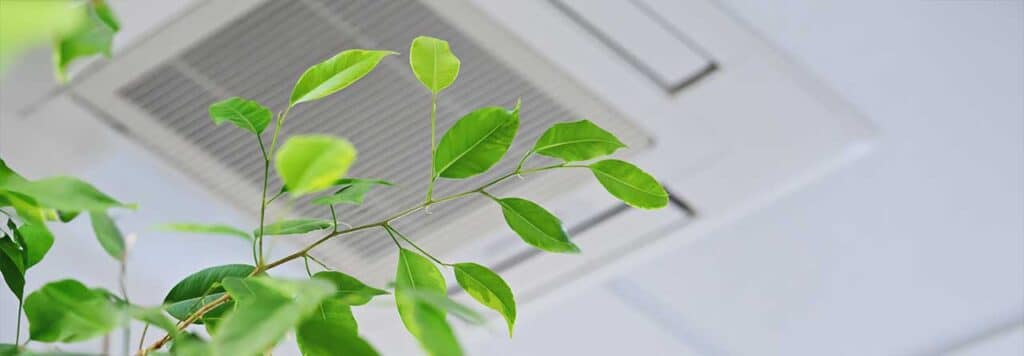 Whole-house-air-purification-bradenton