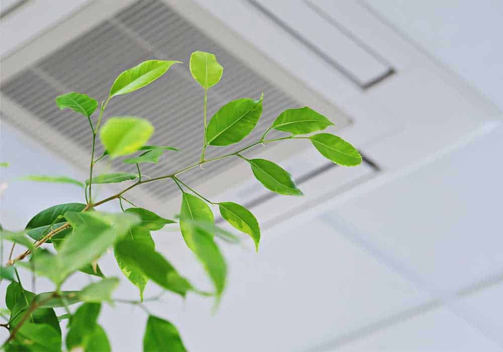 ac-warehouse-air-purification