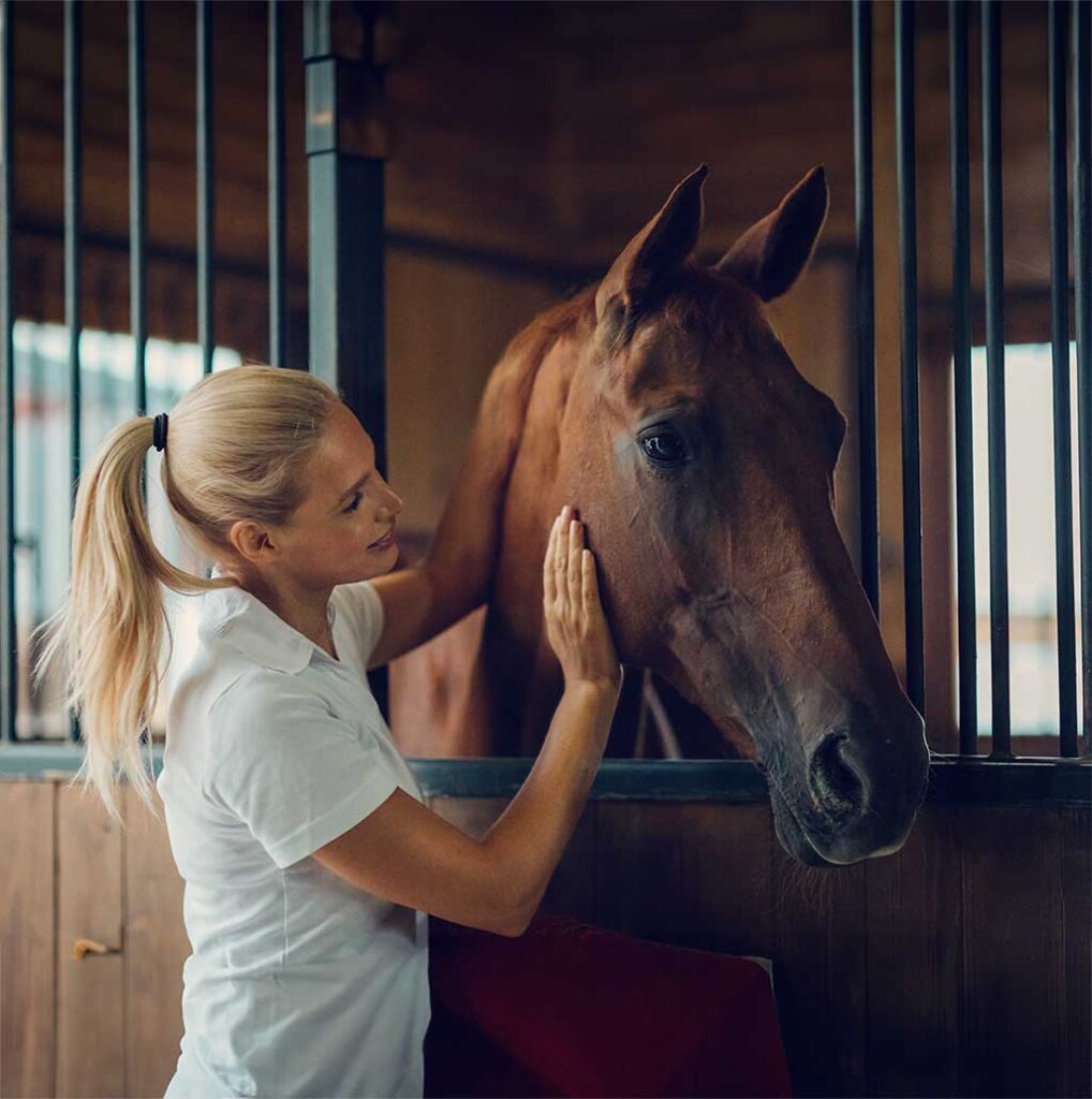 barn-AC-unit installed